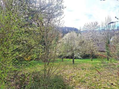 Grundstück kaufen in 4209 Außertreffling