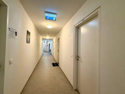 Gewerbeobjekt mieten in 1230 Wien (Bild 5)