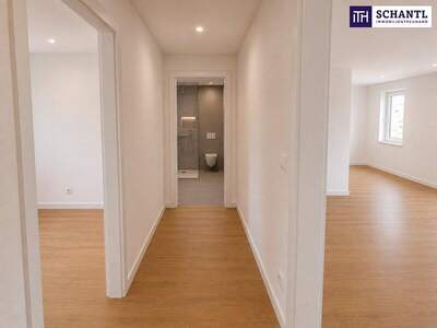 Terrassenwohnung kaufen in 1020 Wien (Bild 4)