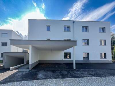 Wohnung kaufen in 4053 Nettingsdorf