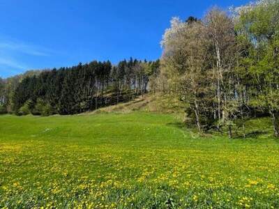 Grundstück kaufen in 3263 Perwarth