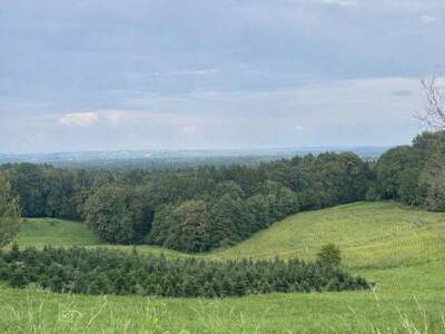 Grundstück kaufen in 8434 Maxlon (Bild 5)