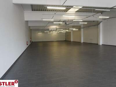 Gewerbeobjekt mieten in 9020 Klagenfurt (Bild 2)