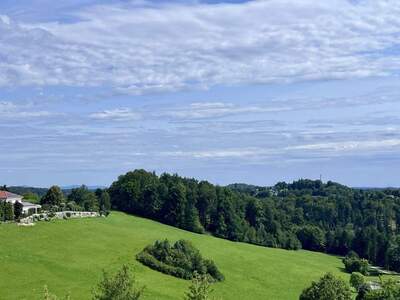 Anlageobjekt kaufen in 8301 Laßnitzhöhe