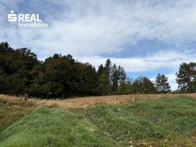 Grundstück kaufen in 8083 St. Stefan (Bild 1)