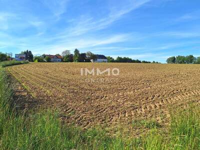 Gewerbegrundstück kaufen in 3254 Bergland