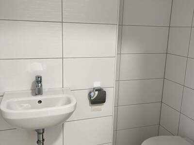 Gewerbeobjekt mieten in 4341 Arbing (Bild 4)