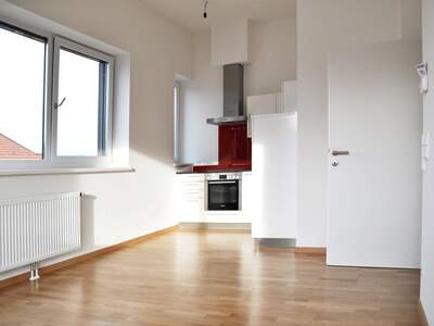 Wohnung mieten in 5101 Bergheim