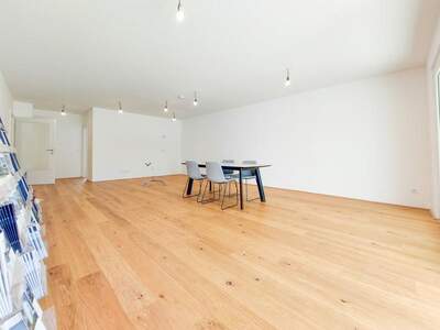 Terrassenwohnung kaufen in 1220 Wien (Bild 2)
