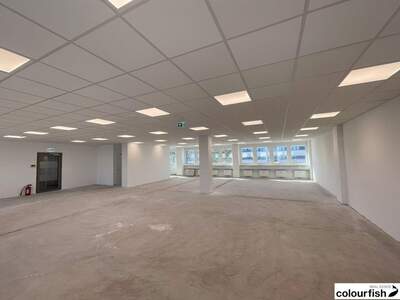 Gewerbeobjekt mieten in 2351 Wiener Neudorf (Bild 4)