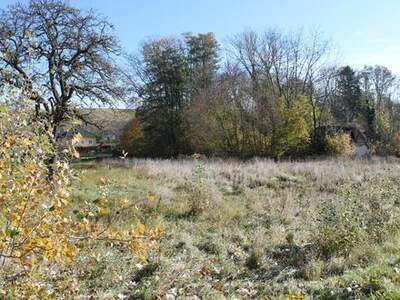 Grundstück kaufen in 2116 Nodendorf