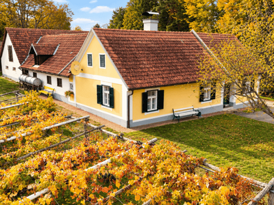Haus kaufen in 8282 Loipersdorf