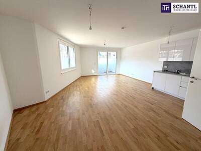 Terrassenwohnung kaufen in 1220 Wien (Bild 2)