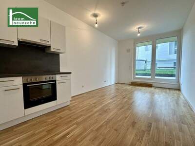 Terrassenwohnung mieten in 1220 Wien (Bild 1)