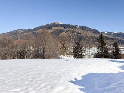Grundstück kaufen in 6363 Westendorf