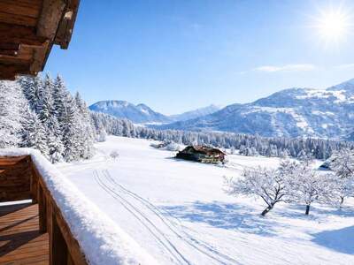 Haus kaufen in 6361 Hopfgarten