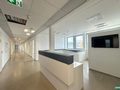 Gewerbeobjekt mieten in 1200 Wien (Bild 3)