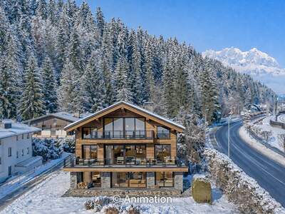 Mehrfamilienhaus kaufen in 6370 Kitzbühel (Bild 4)