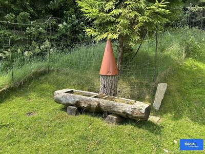 Haus kaufen in 9411 St. Michael (Bild 5)