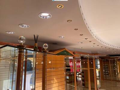 Gewerbeobjekt mieten in 2640 Gloggnitz (Bild 4)