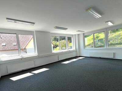 Gewerbeobjekt mieten in 8054 Graz (Bild 3)