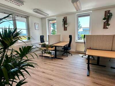 Gewerbeobjekt mieten in 4210 Gallneukirchen (Bild 2)