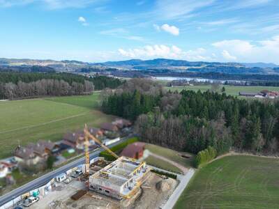 Wohnung mit Balkon kaufen in 5166 Perwang (Bild 3)