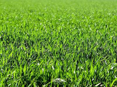 Grundstück kaufen in 4840 Vöcklabruck