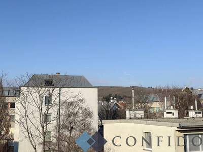 Wohnung mieten in 1190 Wien