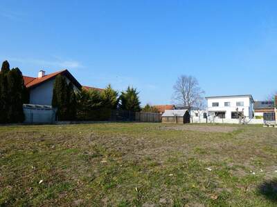 Grundstück kaufen in 7121 Weiden