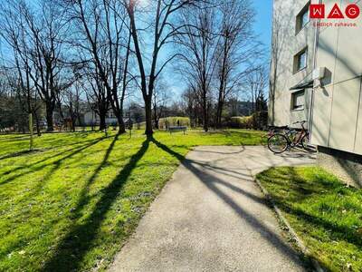 Terrassenwohnung mieten in 4020 Linz (Bild 3)