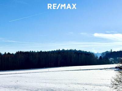 Grundstück kaufen in 4841 Ungenach (Bild 4)