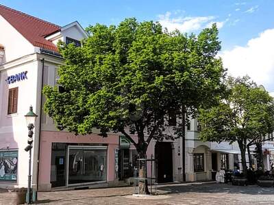 Ladenlokal mieten in 7000 Eisenstadt
