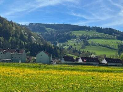 Grundstück kaufen in 3263 Perwarth