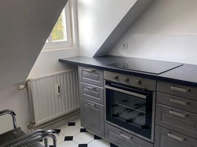 Altbauwohnung mieten in 1130 Wien (Bild 1)