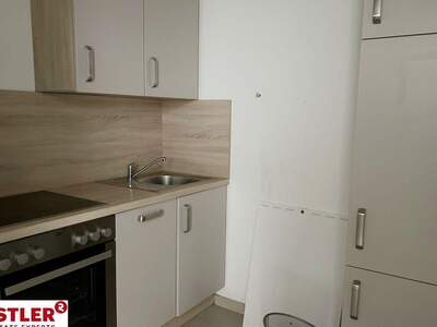 Gewerbeobjekt mieten in 2340 Mödling (Bild 5)