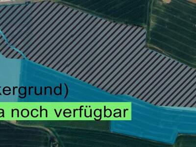 Gewerbeobjekt kaufen in 4643 Pratsdorf (Bild 2)