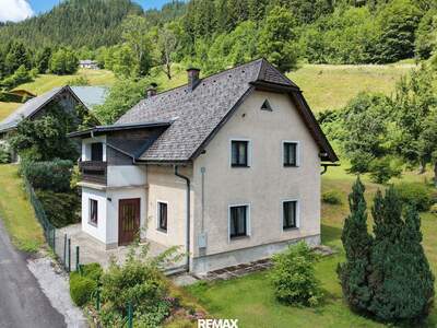 Haus kaufen in 8795 Radmer (Bild 1)