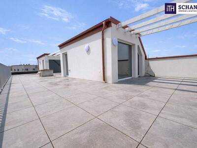 Terrassenwohnung kaufen in 2514 Traiskirchen (Bild 2)