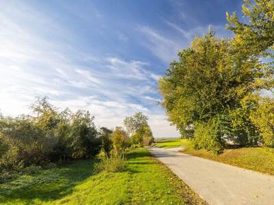 Gewerbeobjekt kaufen in 2431 Enzersdorf (Bild 5)