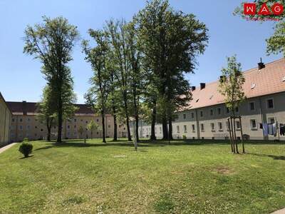 Wohnung mieten in 4400 Steyr (Bild 1)