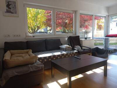 Haus kaufen in 6075 Tulfes (Bild 5)
