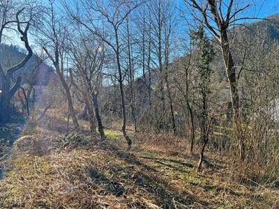 Grundstück kaufen in 3183 Freiland (Bild 2)