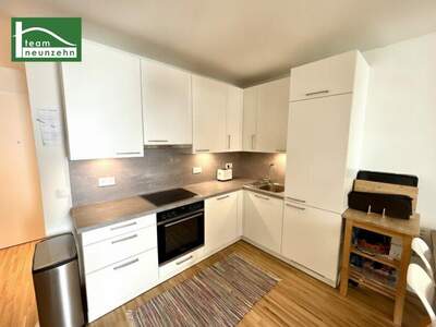 Terrassenwohnung mieten in 1220 Wien (Bild 2)