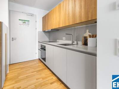 Terrassenwohnung mieten in 1200 Wien (Bild 1)