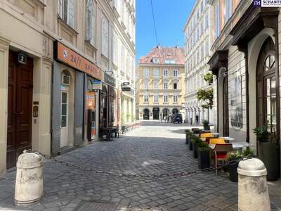 Gewerbeobjekt mieten in 1010 Wien (Bild 4)