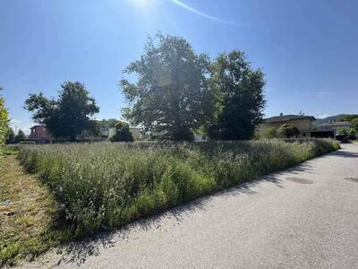 Grundstück kaufen in 6973 Höchst