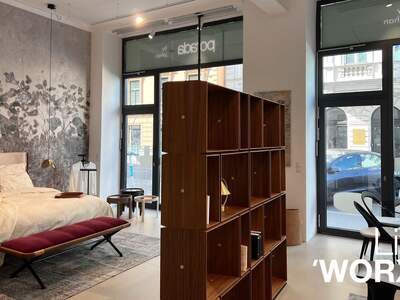 Gewerbeobjekt mieten in 1080 Wien (Bild 5)