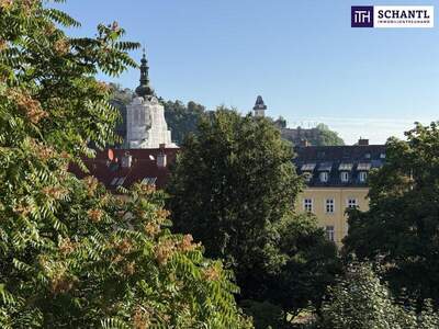 Terrassenwohnung mieten in 8020 Graz (Bild 1)