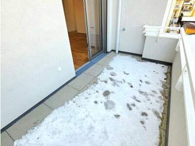 Terrassenwohnung kaufen in 1220 Wien (Bild 4)